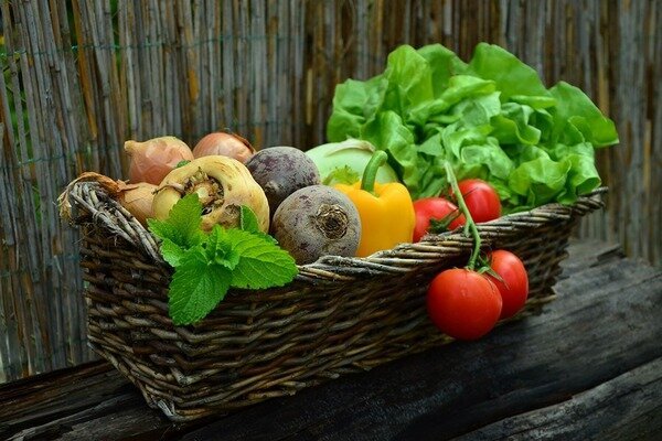 Sezónní zelenina je zdravější. (Foto: Pixabay.com)