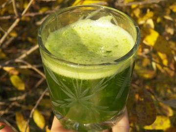 Medicinalest green koktejl z Neumyvakina