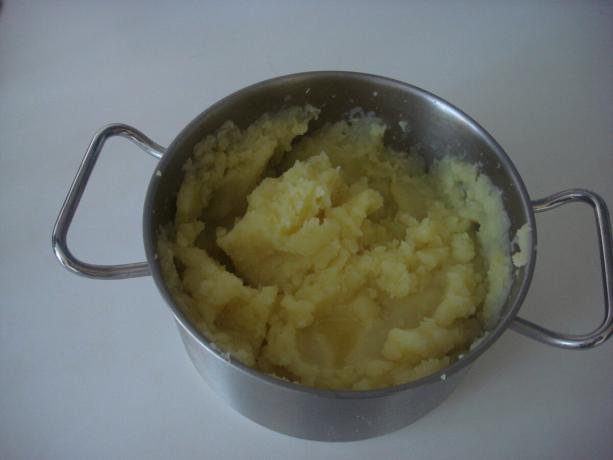 Vyfotit autorem (připraven bramborovou kaši)
