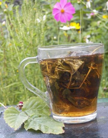 Podzimu bylinný čaj, lék na ředění krve Antiprostudny