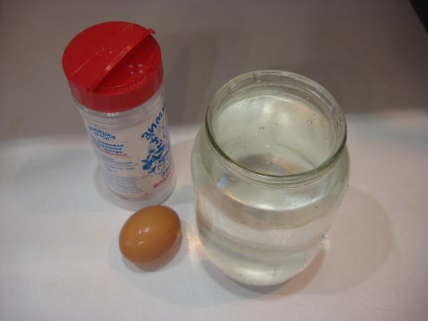 Foto autorem (sůl, sklenice vody, vejce, přejděte na pravé straně)