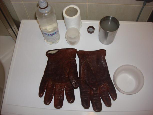 Vyfotit autorem (amoniak, voda, rukavice)
