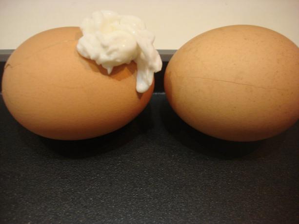 Vyfotit autorem (vlevo prostě popraskané vejce, vejce vpravo tukem citron)