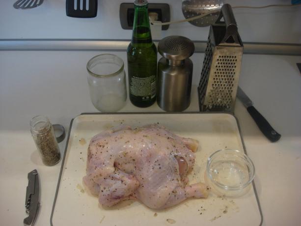 Vyfotit autorem (kuřecí třel se solí, pepřem a česnekem)