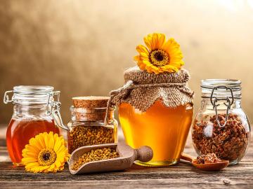 10 faktů o medu, které možná nevíte