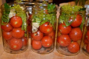 Marinované rajčata „Zadonsk“ na zimu