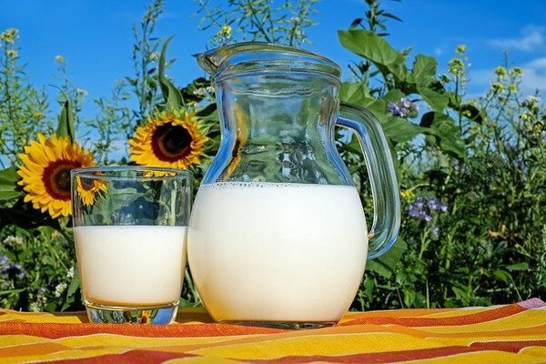 Lepší je kupovat mléko ze soukromých farem (Foto: Dreamstime.com)