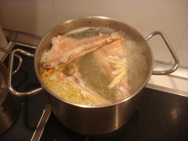 Vyfotit autorem (přidat ryby, brambory, cibuli a mrkev v polévce)