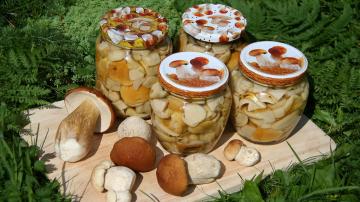 Elegantní bílé houby: recept prababičky