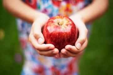 Zacházet jablka: ledvinové kameny, křečové žíly, srdeční infarkt, atd