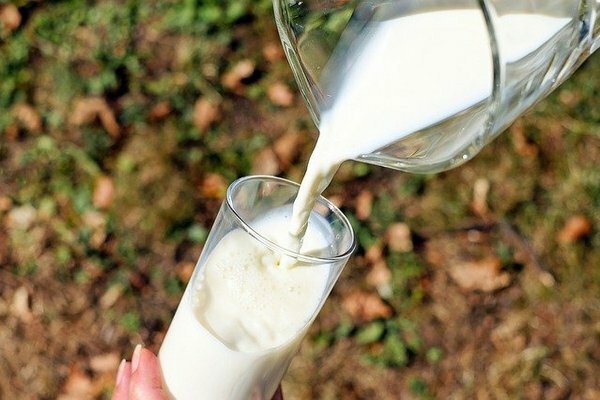 Pokud však po sklenici mléka pocítíte nepříjemné pocity v žaludku nebo střevech, je lepší jej odmítnout ve prospěch fermentovaných mléčných výrobků (Foto: Pixabay.com)