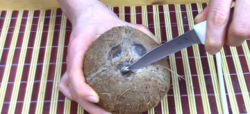Jak snadné je otevřít si kokos doma. A jak vybrat dobrý kokos.