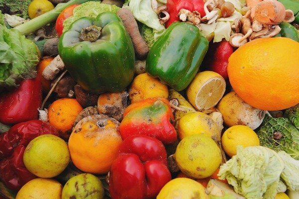 Shnilé ovoce a zelenina nejsou tou nejlepší volbou pro šití. (Foto: nycfoodpolicy.org)