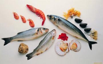 Jak vařit mořské plody a mořské ryby?