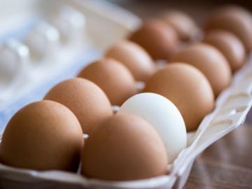 Jak zkontrolovat: vejce čerstvé nebo zkažený?