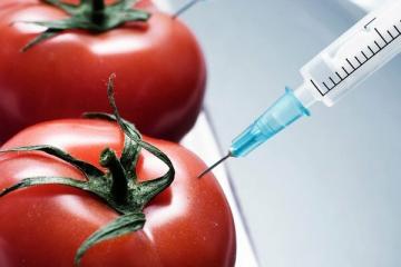 10 GMO potravin, které jíme a ani nevíme