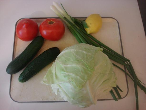 Vyfotit autorem (hlavní složky zeleninový salát)
